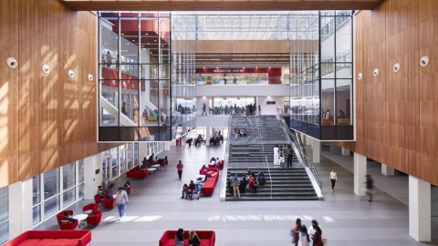 Университеты в Дубае