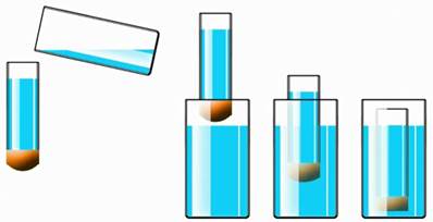 По про­ги­бу ре­зи­но­вой плен­ки можно су­дить об из­ме­не­нии дав­ле­ния в жид­ко­сти с глу­би­ной