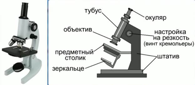 Мик­ро­скоп и его схема