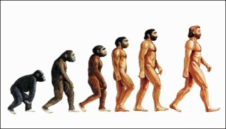 Эво­лю­ция че­ло­ве­ка