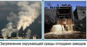 Загрязнение окружающей среды отходами заводов