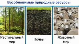Воз­об­но­ви­мые природные ресурсы (почва, рас­ти­тель­ность, жи­вот­ный мир).