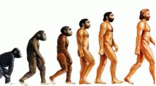 Ис­то­рия эво­лю­ции че­ло­ве­ка