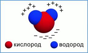 Рас­пре­де­ле­ние за­ря­да в мо­ле­ку­ле воды