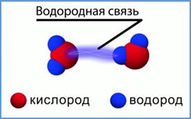 Схема об­ра­зо­ва­ния во­до­род­ной связи между раз­но­имен­но за­ря­жен­ны­ми ато­ма­ми в двух мо­ле­ку­лах воды