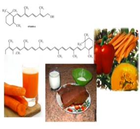 Ви­та­мин А и про­дук­ты, ко­то­рые его со­дер­жат