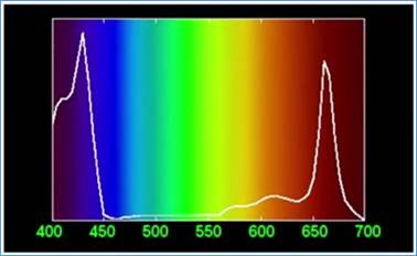 Спектр по­гло­ща­е­мо­го хло­ро­фил­лом света