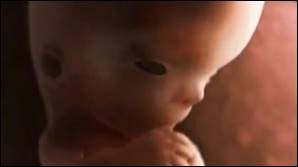 Эм­бри­он в утро­бе ма­те­ри