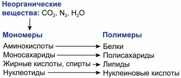 Син­те­зи­ро­ва­ние по­ли­ме­ров из мо­но­ме­ров