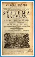 Ос­нов­ная книга Лин­нея «Си­сте­ма При­ро­ды»