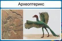 Пе­ре­ход­ные формы между так­со­на­ми живых су­ществ: ар­хео­пте­рикс (реп­ти­лии – птицы)