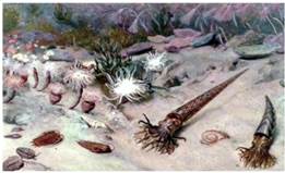 Ре­кон­струк­ция па­лео­зой­ских мол­люс­ков и их есте­ствен­ной среды оби­та­ния