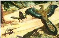 Ре­кон­струк­ция ме­зо­зой­ской пер­вопти­цы ар­хео­пте­рик­са – про­ме­жу­точ­но­го звена между реп­ти­ли­я­ми и пти­ца­ми