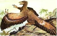 Ре­кон­струк­ция ме­зо­зой­ской пер­вопти­цы ар­хео­пте­рик­са – про­ме­жу­точ­но­го звена между реп­ти­ли­я­ми и пти­ца­ми