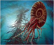 Вы­мер­шие в ме­ло­вом пе­ри­о­де ги­гант­ские го­ло­во­но­гие мол­люс­ки Ам­мо­ни­ты – род­ствен­ни­ки со­вре­мен­ных на­у­ти­лу­сов