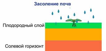 Схема за­со­ле­ния почвы в усло­ви­ях из­бы­точ­но­го по­ли­ва