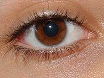 Че­ло­ве­че­ский глаз