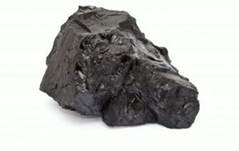 Био­ген­ные ма­те­ри­а­лы: ка­мен­ный уголь