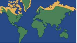 Гра­ни­цы тунд­ры на карте мира (оран­же­вым цве­том свер­ху)