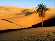 Пу­стын­ный ланд­шафт
