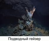Под­вод­ные со­об­ще­ства тер­мо­филь­ных ор­га­низ­мов