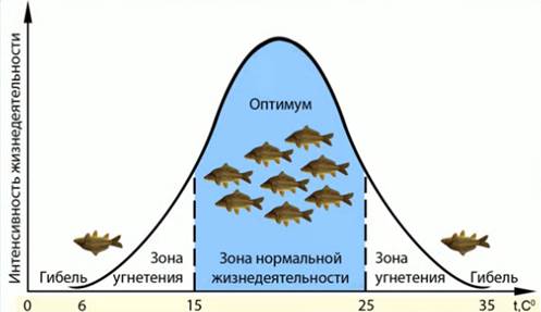 Вли­я­ние тем­пе­ра­ту­ры на по­ка­за­те­ли жиз­не­де­я­тель­но­сти рыб