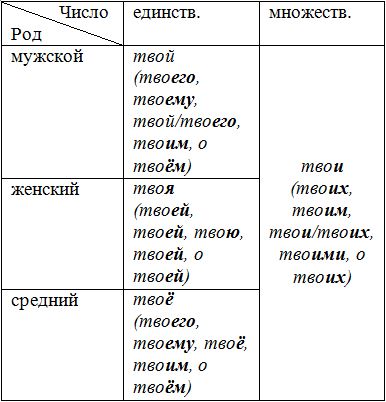 Слово ее лицо число падеж. Роды местоимений таблица. Склонение притяжательных местоимений таблица. Как определить род местоимения. Род местоимений в русском языке.