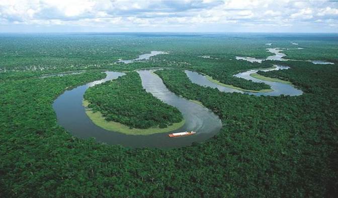 Ре­льеф Ама­зон­ской низ­мен­но­сти