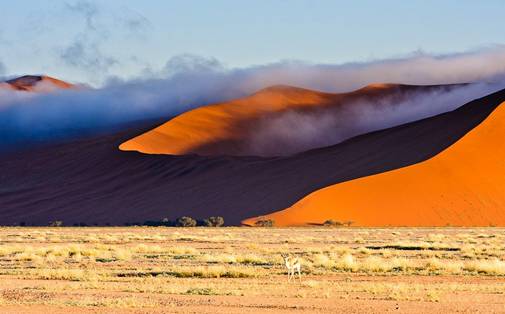 Пу­сты­ня Намиб