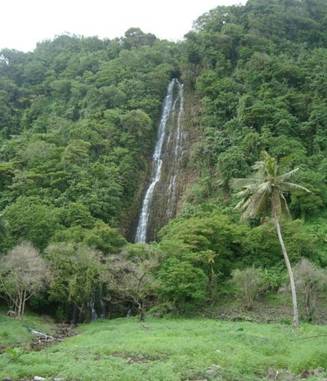 Леса Самоа