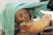 Голод – по­след­ствие про­до­воль­ствен­ной про­бле­мы че­ло­ве­че­ства