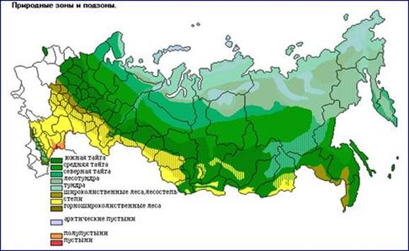 Карта рас­ти­тель­но­сти Рос­сии