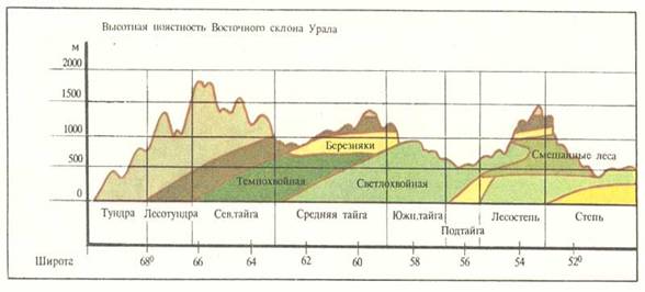Вы­сот­ная по­яс­ность Урала