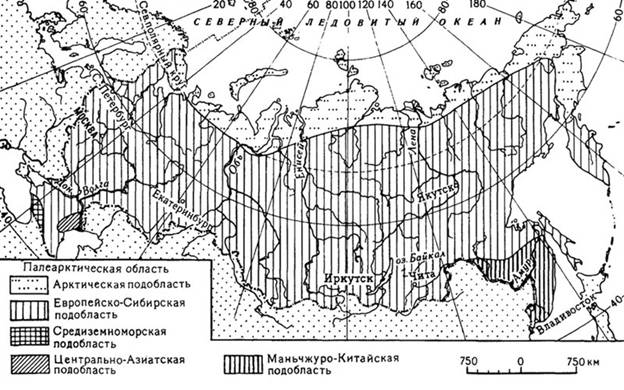 Карта зоо­гео­гра­фи­че­ско­го рай­о­ни­ро­ва­ния Рос­сии