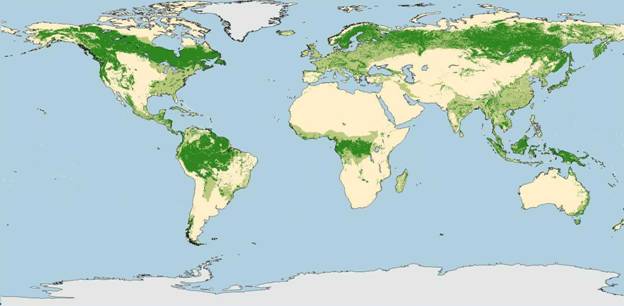 Карта лес­ных ре­сур­сов мира и Рос­сии