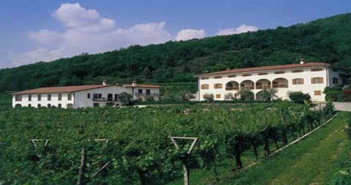 Ви­но­град­ни­ки на юге Ита­лии