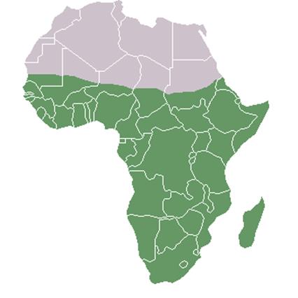 Карта Тро­пи­че­ской Аф­ри­ки