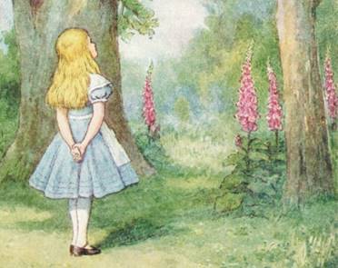 Одна из по­пу­ляр­ней­ших дет­ских книг – «Алиса в стране чудес» (автор Льюис Кэр­ролл)