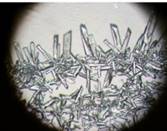 Кри­стал­лы мед­но­го ку­по­ро­са под мик­ро­ско­пом