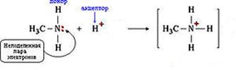 До­нор­но-ак­цеп­тор­ный ме­ха­низм об­ра­зо­ва­ния ко­ва­лент­ной связи в ка­ти­о­нах ам­мо­ния и ме­тил­ам­мо­ния