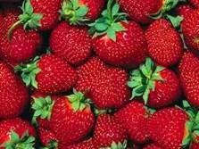 She said that she liked strawberries.  Она ска­за­ла, что любит клуб­ни­ку.