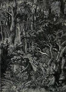 Тём­ный лес